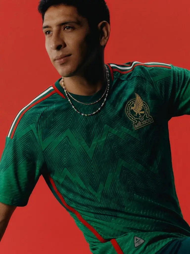 mexico cat webp